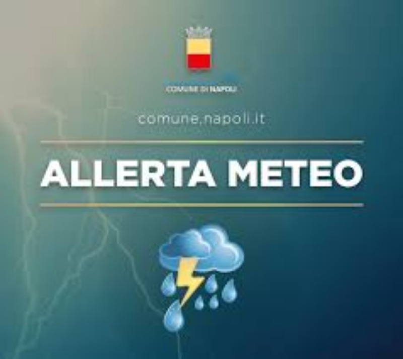 SCUOLE CHIUSE PER ALLERTA METEO  12/03/2019