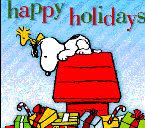 Sospensione attività didattiche per festività natalizie 